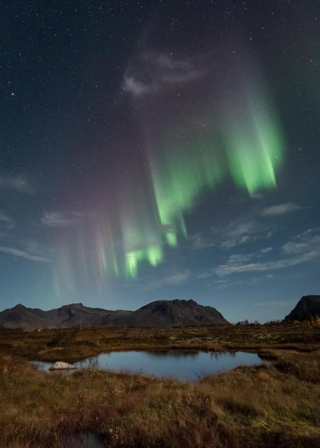 فيلا Lyngvaer Luggombu Kleppstad المظهر الخارجي الصورة